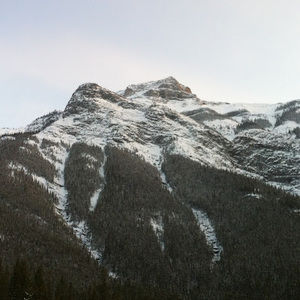 Meet your Posher, Naveed